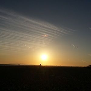 Meet your Posher, Oscar